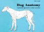 Dog Anatomy: A Pictorial Approach to Canine Structure